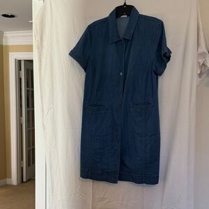CAbi Blue Denim Mini Dress